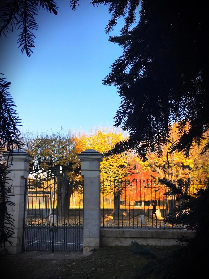 Manoir 1838 A - 3 Km Du Zoo De Beauval & Proche Des Chateaux Saint-Aignan  Dış mekan fotoğraf